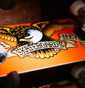 Anti Hero Classic Eagle Kids Skateboard - Medium - Orange