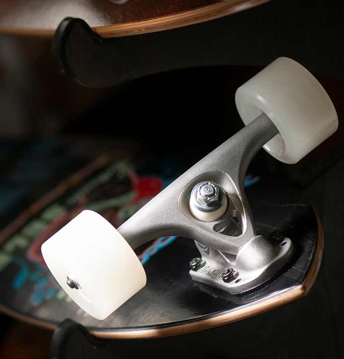 Arbor Fish 37" Artist "Boss Dog"