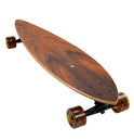 Arbor Groundswell Fish Pintail Longboard 2025