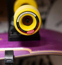 Landyachtz The Clark Sun Jam XL Skateboard
